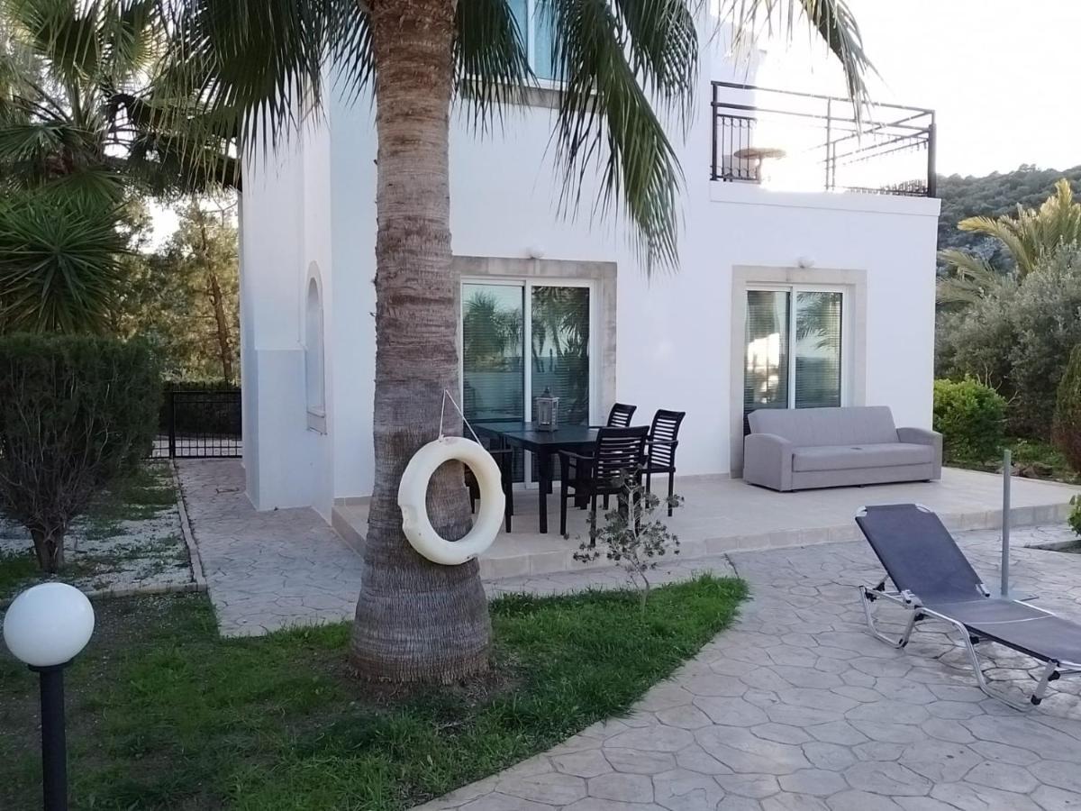Villa Chrysanthemum Neo Chorio Buitenkant foto