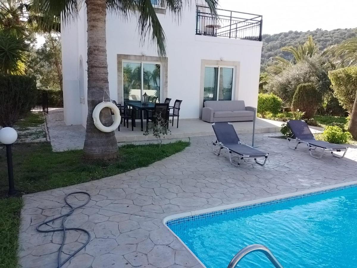 Villa Chrysanthemum Neo Chorio Buitenkant foto