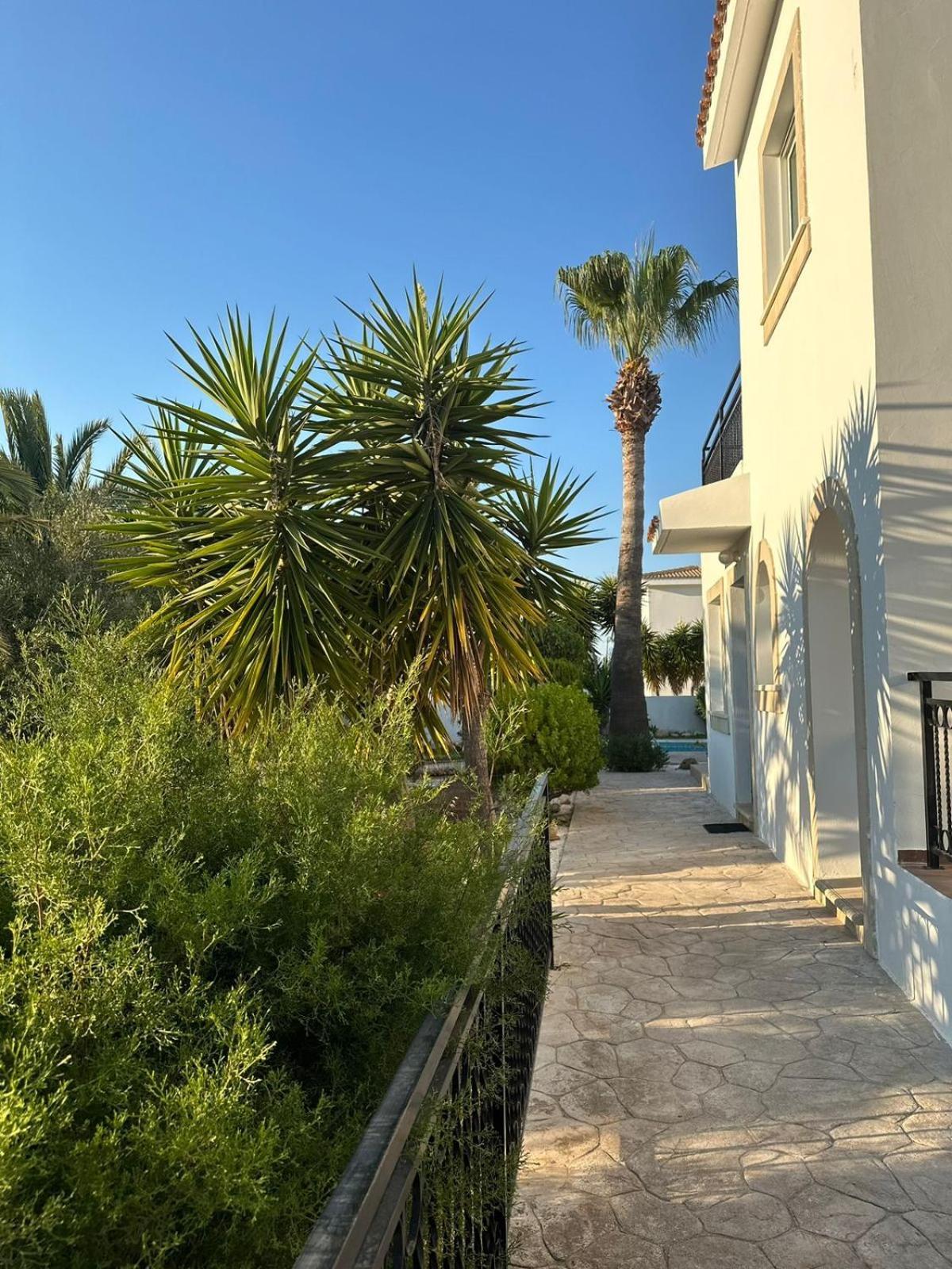 Villa Chrysanthemum Neo Chorio Buitenkant foto